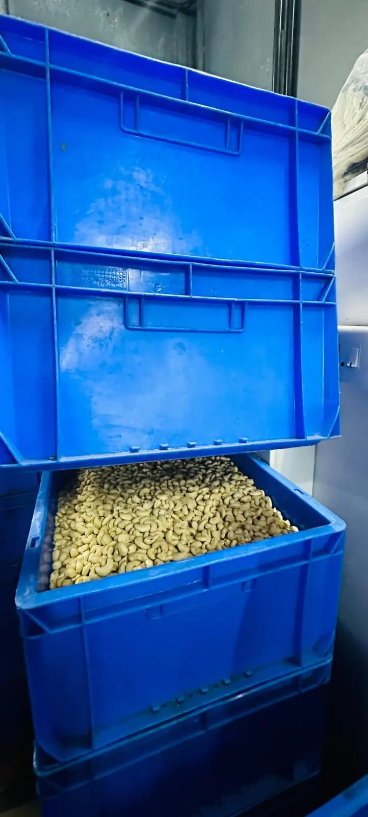 Wood roasting process